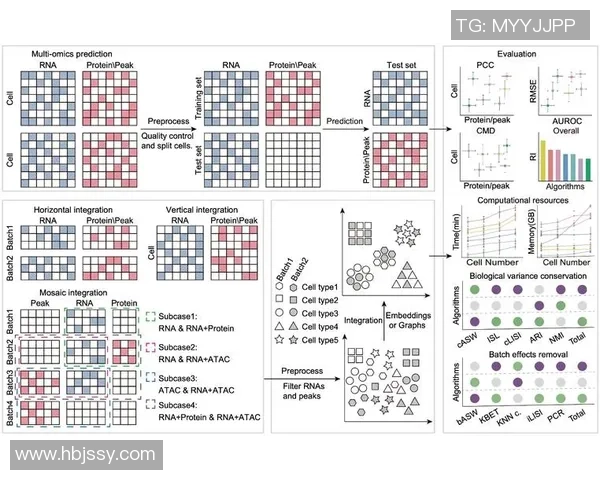 BLG在挑战者杯中的心理素质分析与表现评估 BLG在挑战者杯中的心理素质分析与表现评估