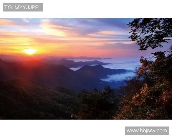 刘丽的攀岩人生:在高峰与深渊之间的深度对话与心灵探索 刘丽的攀岩人生:在高峰与深渊之间的深度对话与心灵探索